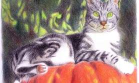 Stage de dessin 